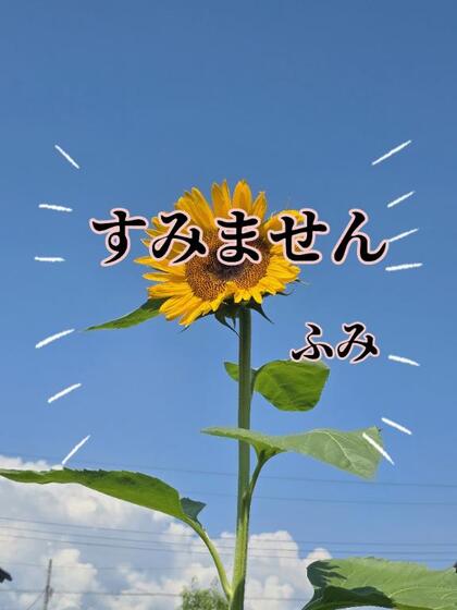 grdr0058753916_0733858494pc.jpg