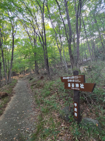 grdr0058753916_0733679932_07.png
