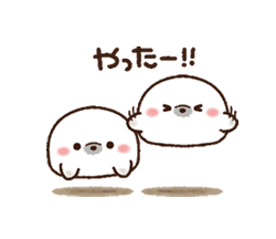 grdr0054363456_0713623603_01.gif
