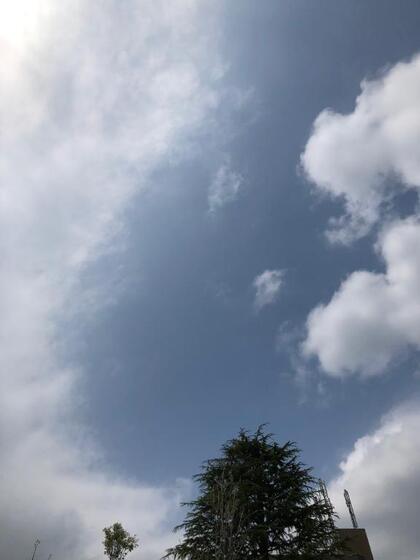 grdr0057195536_0712043361pc.jpg