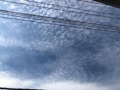 grdr0057195536_0725631750pc.jpg