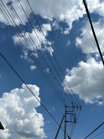 grdr0059076272_0733764774_01.png