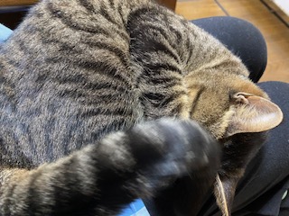 image0.jpeg