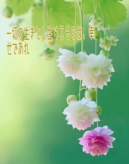 grdr0054363456_0718616727pc.jpg