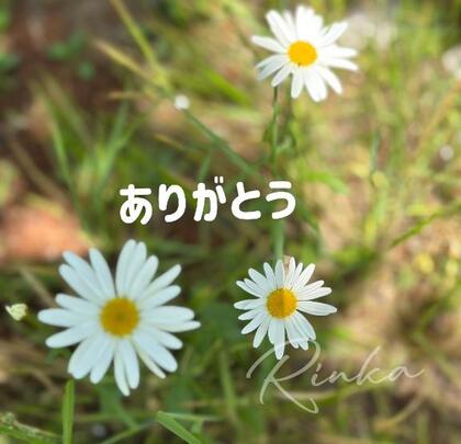 grdr0035359417_0715792326pc.jpg
