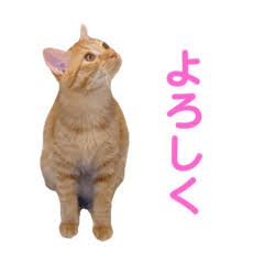 grdr0053392257_0729407973_03.png