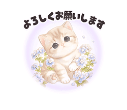 grdr0022329787_0741362568_11.gif
