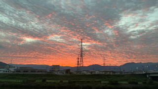 grdr0061201961_0743216372_01.png