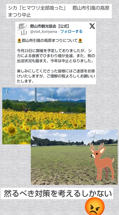 PhotoCollage_1786870900168.jpg