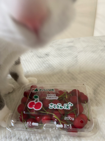 grdr0057648365_0722460384_05.png