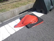埋め込み画像 1