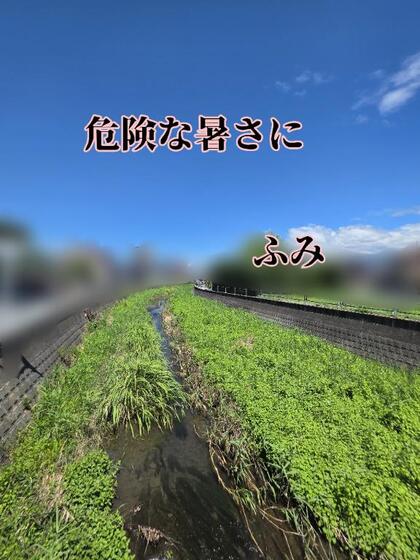 grdr0058753916_0733303996pc.jpg