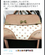 pantybag.jpg