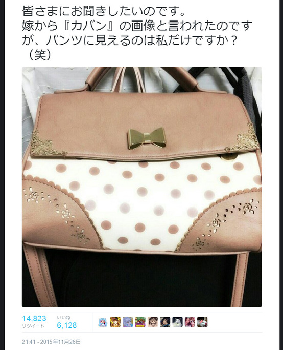 pantybag.jpg