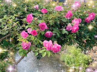 grdr0022328965_0716554238_07.png