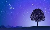 星空.jpg