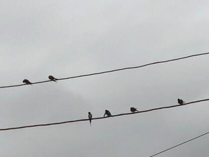 grdr0057195536_0712505295pc.jpg