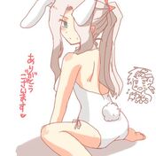 fa7.jpg