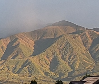 20260512_084932.jpg