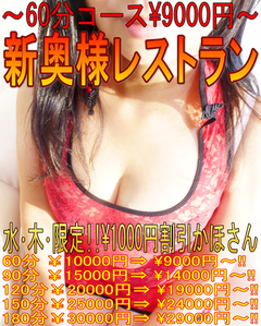 新割引かほさん縦バージョン02 500.jpg