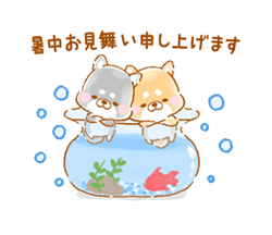 grdr0022329787_0730673347_01.gif