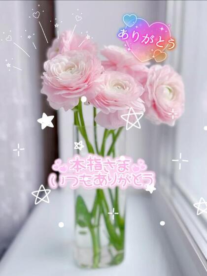 grdr0054363456_0741269639pc.jpg