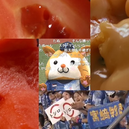 PhotoCollage_1754495723052.jpg