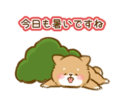 grdr0022329787_0732610449_12.gif