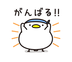 grdr0022329787_0745734849_06.gif