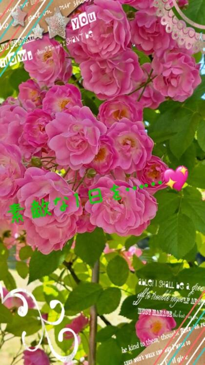 grdr0051727929_0720782471pc.jpg
