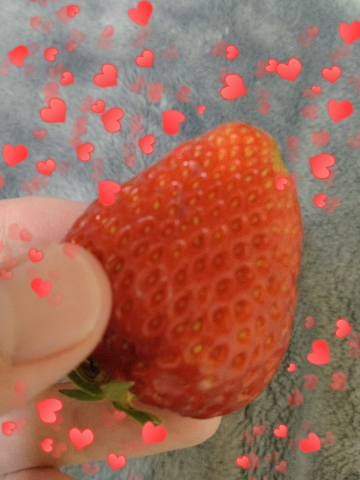 grdr0040051074_0713523958_09.png